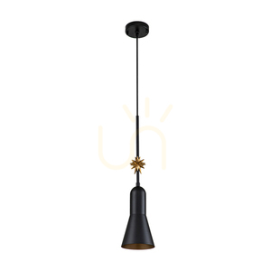 Etoile kleine Pendelleuchte - 1 Lichtquelle - Mattschwarz / Goldfarbene Blütenblätter Elstead small 6
