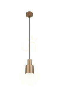 Trio ELIOR Pendelleuchte DL165319400 small 0