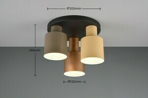 Plafond Trio ELIOR DL317619430 small 4