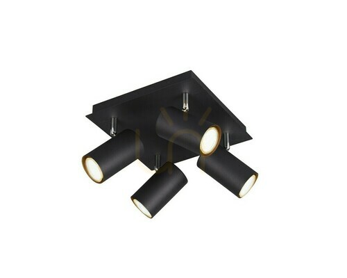Prüfen Trio VANTOS plafond DL432802430.