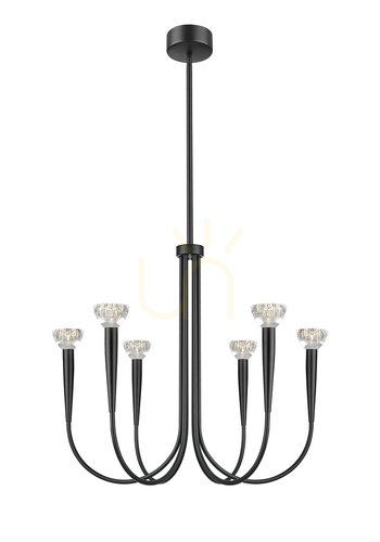 Prüfen BOSTON P0603-06F-P7B1 Pendelleuchte Schwarz 6xLED.