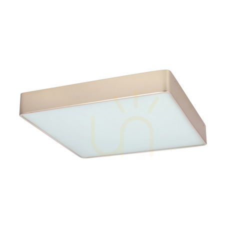Prüfen Quattro pearl LED 18W plafond CANDELLUX 10-31969