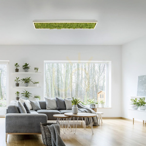 GRÜNE KNUT Plafond 15623-66 Beige 1xLED 2 GRÜNE KNUT Plafond 15623-66 Beige 1xLED small 2