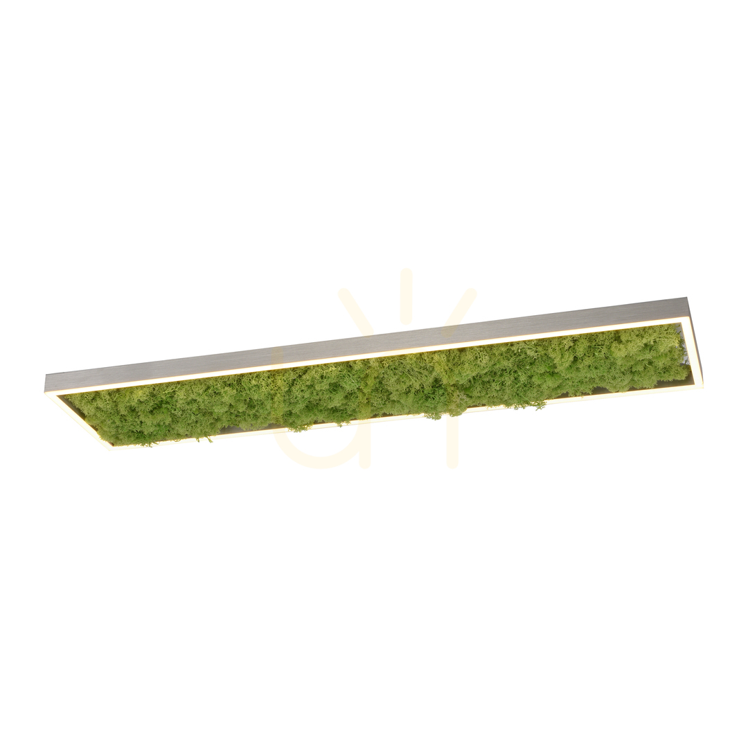 Aussicht GRÜNE KNUT Plafond 15623-66 Beige 1xLED GRÜNE KNUT Plafond 15623-66 Beige 1xLED