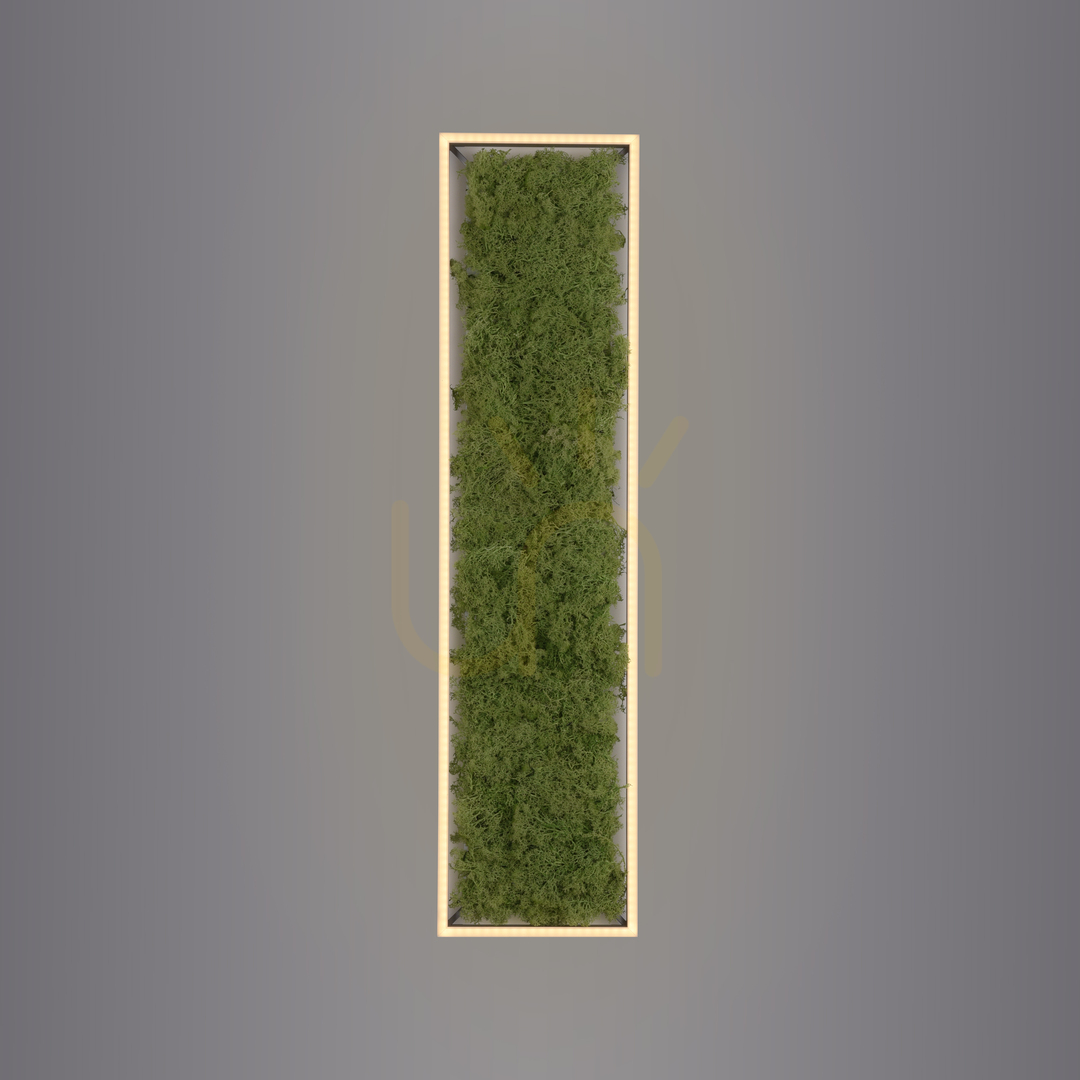 Zeige GRÜNE KNUT Plafond 15623-66 Beige 1xLED GRÜNE KNUT Plafond 15623-66 Beige 1xLED