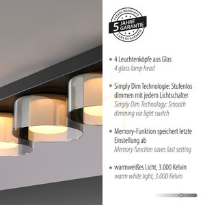 Plafond RIKA 6164-18 Schwarz 4xLED 4 Plafond RIKA 6164-18 Schwarz 4xLED small 4