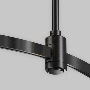 Maytoni Flarity TRX154-R-D800-B runde Magnetschiene, Ø80 cm, 24 V, Schwarz small 2