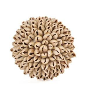 Muschelball Dekoration 9 cm Oluolu - S small 5