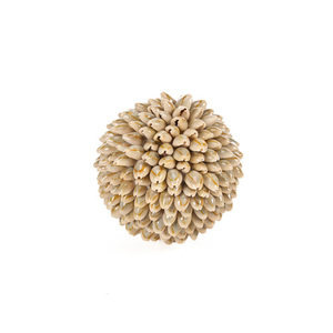Muschelball Dekoration 9 cm Oluolu - S small 8