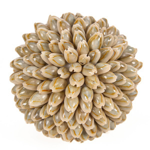 Deko-Kugel aus Muscheln Bazar Bizar Oluolu Shell Ball M, Ø 11 cm, weiß small 2