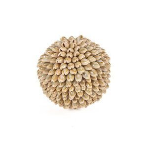 Deko-Kugel aus Muscheln Bazar Bizar Oluolu Shell Ball M, Ø 11 cm, weiß small 3