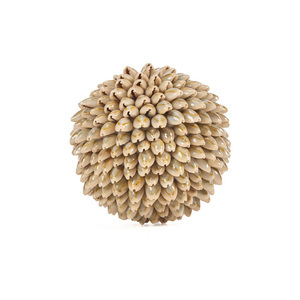 Deko-Kugel aus Muscheln Bazar Bizar Oluolu Shell Ball M, Ø 11 cm, weiß small 5
