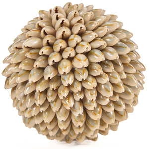 Deko-Kugel aus Muscheln Bazar Bizar Oluolu Shell Ball M, Ø 11 cm, weiß small 6
