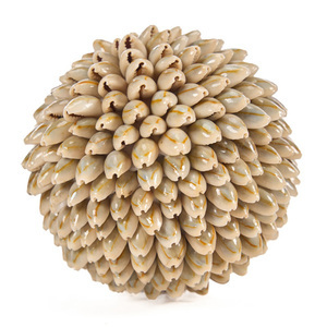 Deko-Kugel aus Muscheln Bazar Bizar Oluolu Shell Ball M, Ø 11 cm, weiß small 8