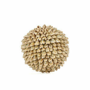 Deko-Kugel aus Muscheln Bazar Bizar Oluolu Shell Ball M, Ø 11 cm, weiß small 0