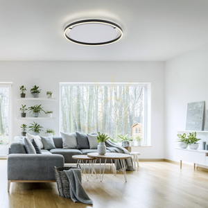 Plafond RITUS 15392-13 Anthrazit 1xLED 2 Plafond RITUS 15392-13 Anthrazit 1xLED small 2