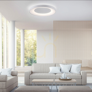 LED-Deckenleuchte Anika 14327-16 weiß 60 W 2700-5000 K dimmbar mit Fernbedienung 70 cm small 2