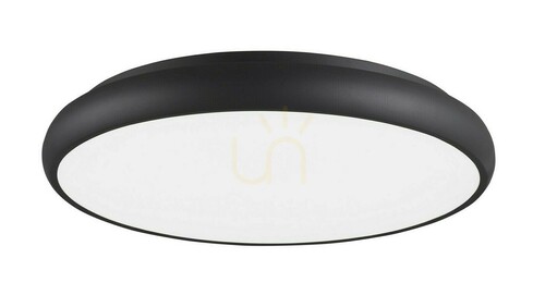 Prüfen Plafond TAME Luces Exclusivas LE41488