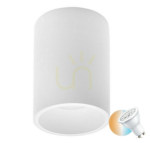 Prüfen Plafond CANUELAS Luces Exclusivas LE61419