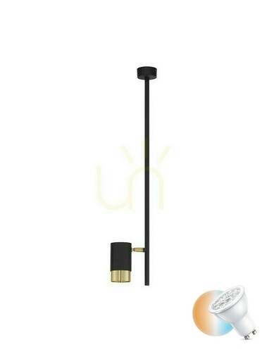 Prüfen Plafond BAILON Luces Exclusivas LE43635