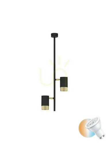 Prüfen Plafond BAILON Luces Exclusivas LE43636
