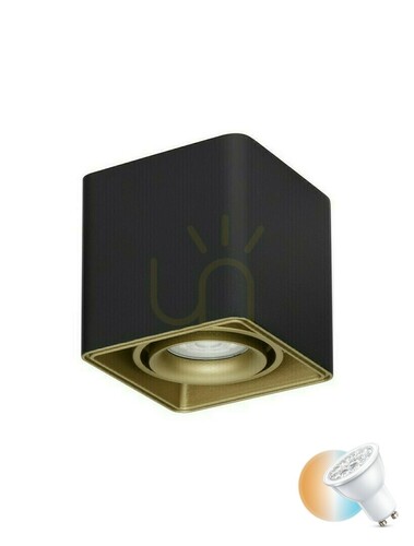 Prüfen Schwarzer Deckenstrahler Luces Exclusivas ACATIPA LE61637 GU10 10 W