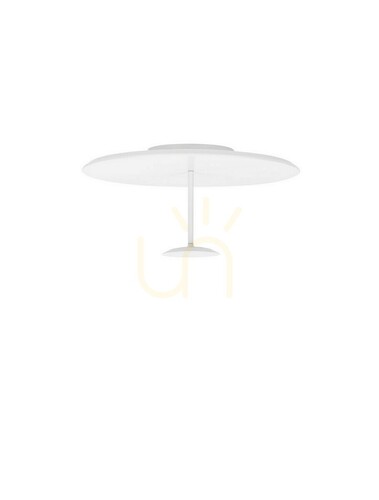 Prüfen Plafond COLCHANI Luces Exclusivas LE44667