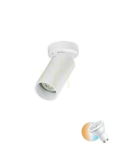 Luces Exclusivas CORENZO LE45648 Deckenstrahler weiß, 1×GU10 small 0