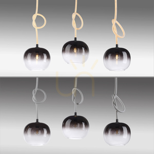 Paul Neuhaus LUMA 2411-18 Pendelleuchte Schwarz-Weiß, 3 × E27 mit leuchtendem Kabel small 15
