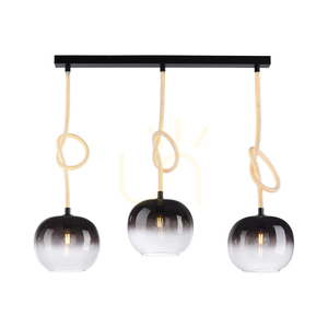 Paul Neuhaus LUMA 2411-18 Pendelleuchte Schwarz-Weiß, 3 × E27 mit leuchtendem Kabel small 16