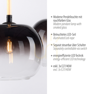 Paul Neuhaus LUMA 2411-18 Pendelleuchte Schwarz-Weiß, 3 × E27 mit leuchtendem Kabel small 3