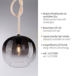 LUMA Pendelleuchte 2410-18 Schwarz 1xLED 3 LUMA Pendelleuchte 2410-18 Schwarz 1xLED small 3