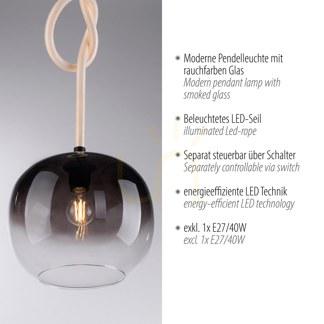 Anzeige LUMA Pendelleuchte 2410-18 Schwarz 1xLED LUMA Pendelleuchte 2410-18 Schwarz 1xLED