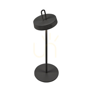 AMAG Gartenleuchte 19310-18 Schwarz 1xLED small 6