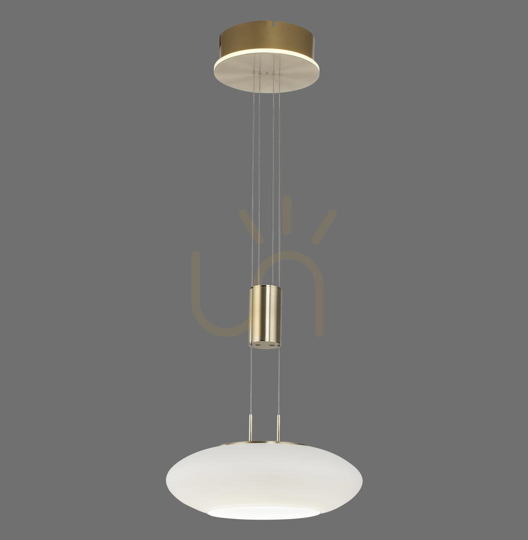 Prüfen Q-ETIENNE 2075-60 Braun 2xLED Pendelleuchte Q-ETIENNE 2075-60 Braun 2xLED Pendelleuchte