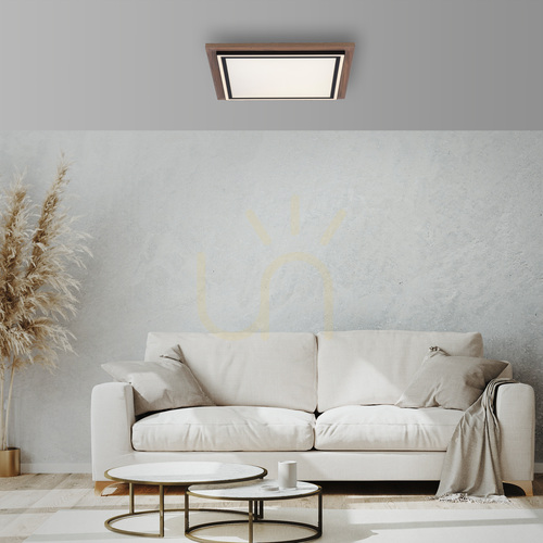 Prüfen Paul Neuhaus PALMA 6141-79 LED-Deckenleuchte, Holzoptik, 53,4 cm, CCT, Fernbedienung