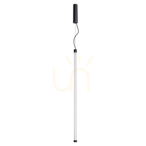 LED-Pendelleuchte Thoro TRANG 100 schwarz 26 W 3000 K TH.860 small 1