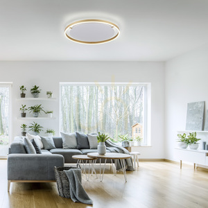 RITUS Plafond 15392-60 Messing 1xLED 2 RITUS Plafond 15392-60 Messing 1xLED small 2