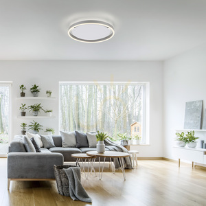 Plafond RITUS 15391-95 Silber 1xLED small 2