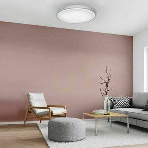 LED-Deckenleuchte Paul Neuhaus / JUST LIGHT Frida 14373-00 small 10