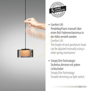 RIKA Pendelleuchte 2113-18 Schwarz 3xLED 4 RIKA Pendelleuchte 2113-18 Schwarz 3xLED small 4