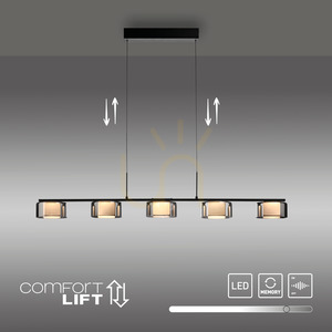 RIKA Pendelleuchte 2116-18 Schwarz 5xLED small 13