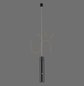 ATTACH Pendelleuchte 18281-18 Schwarz 1xLED small 0