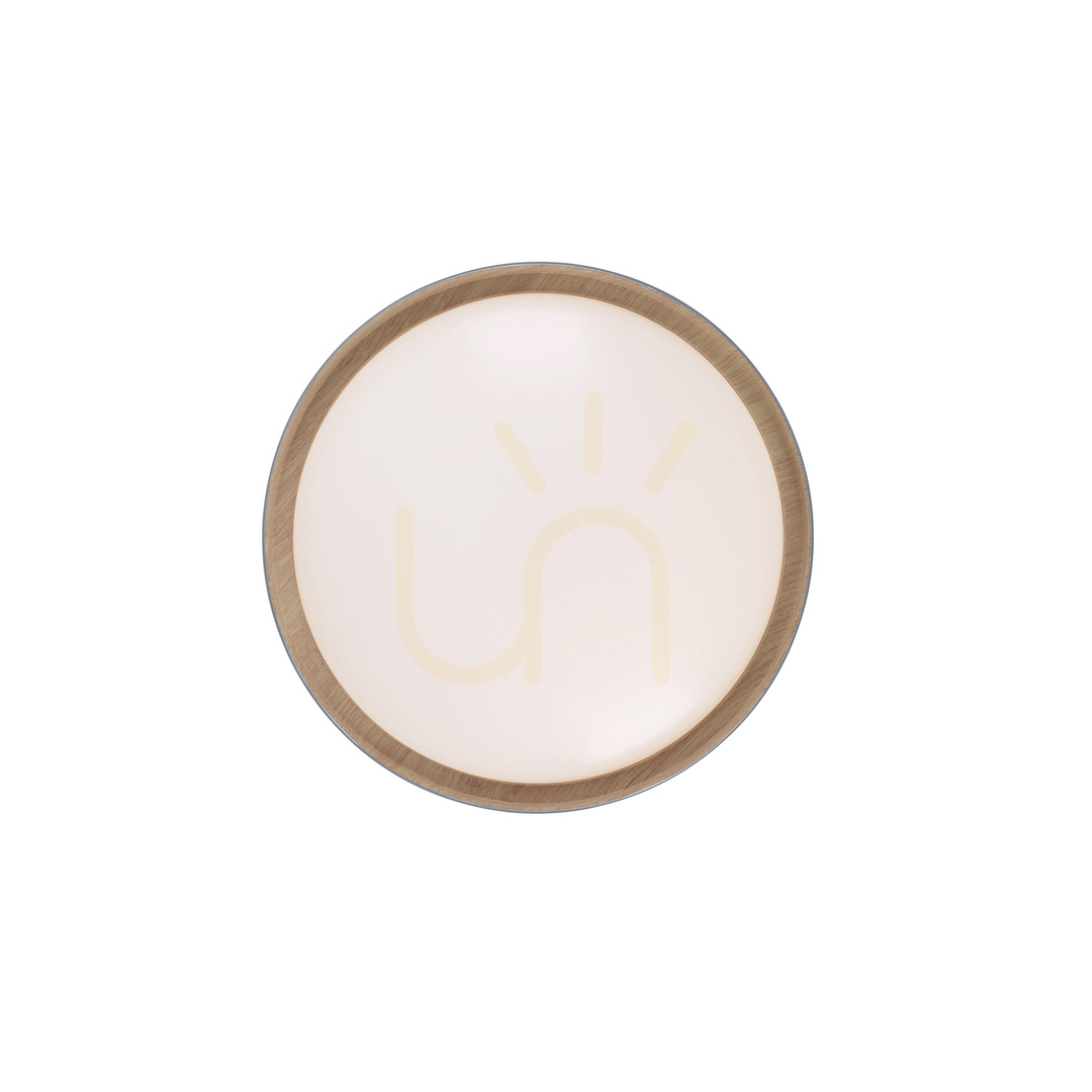 Aussicht Plafond EMILIA 14347-15 Grau 1xLED Plafond EMILIA 14347-15 Grau 1xLED