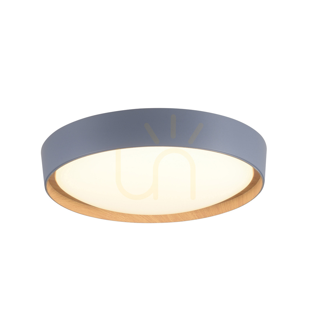 Aussicht Plafond EMILIA 14347-15 Grau 1xLED Plafond EMILIA 14347-15 Grau 1xLED