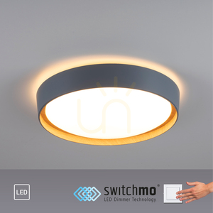 Plafond EMILIA 14347-15 Grau 1xLED 9 Plafond EMILIA 14347-15 Grau 1xLED small 9