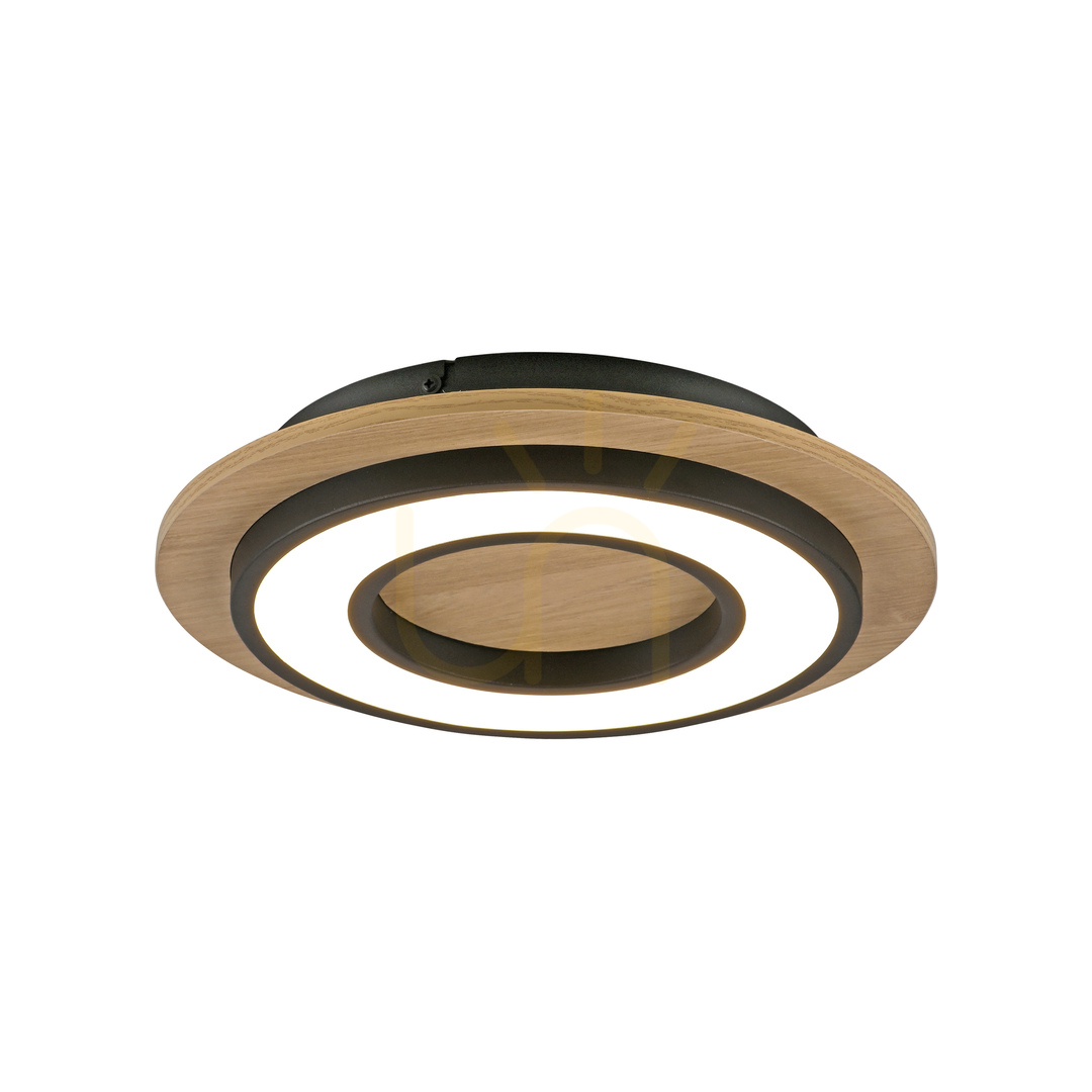 Aussicht TOLA plafond 14560-18 Schwarz 1xLED TOLA plafond 14560-18 Schwarz 1xLED