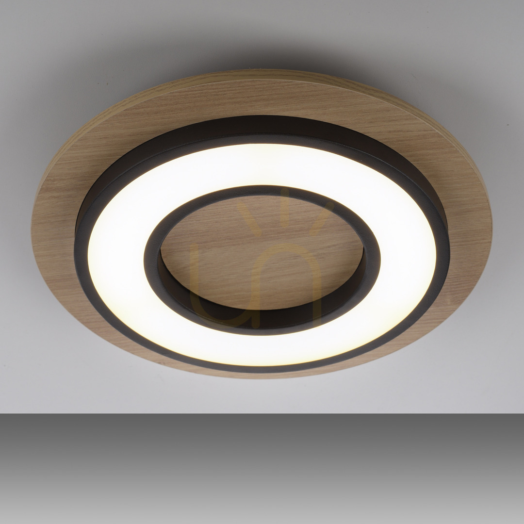 Prüfen TOLA plafond 14560-18 Schwarz 1xLED TOLA plafond 14560-18 Schwarz 1xLED