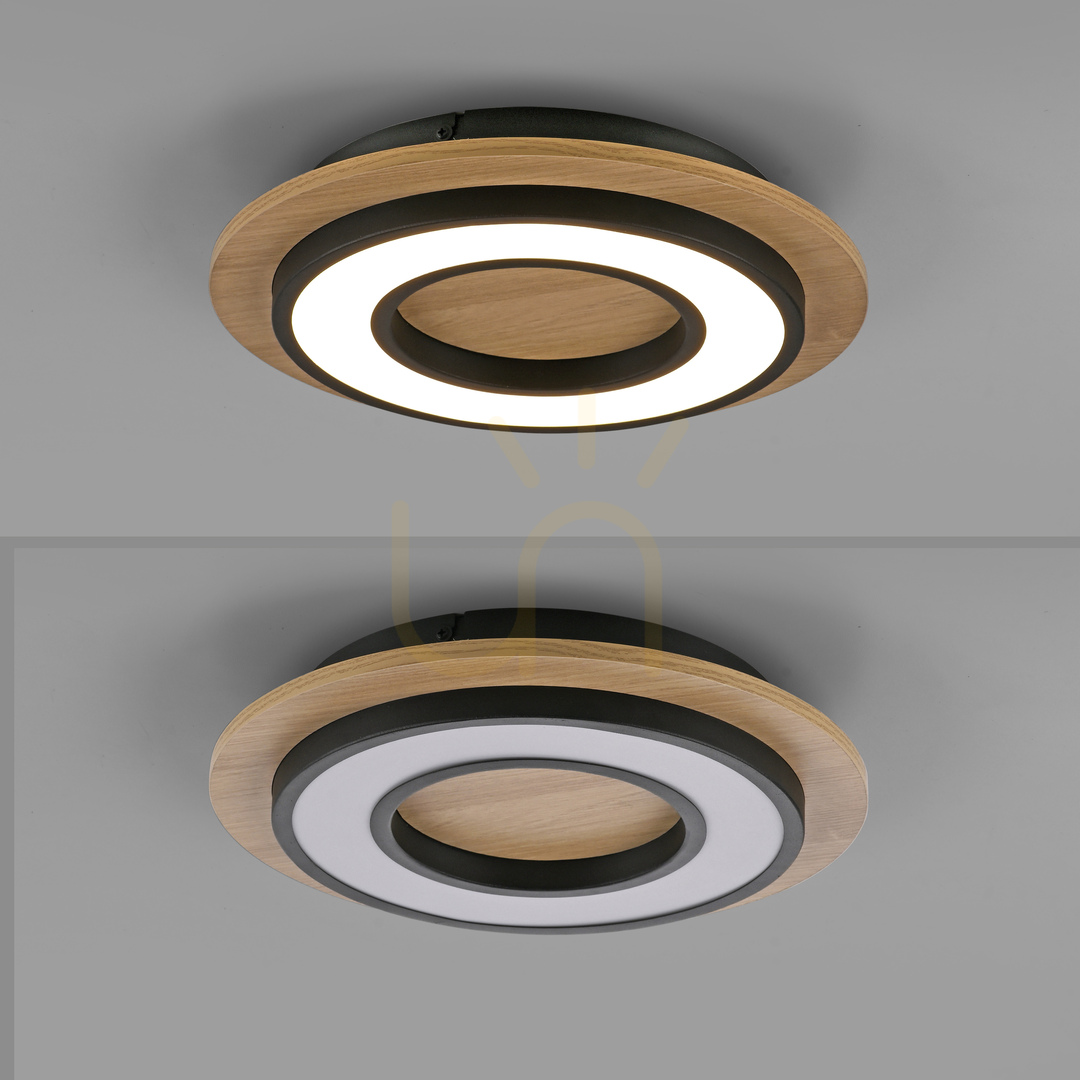 Vorschau TOLA plafond 14560-18 Schwarz 1xLED TOLA plafond 14560-18 Schwarz 1xLED