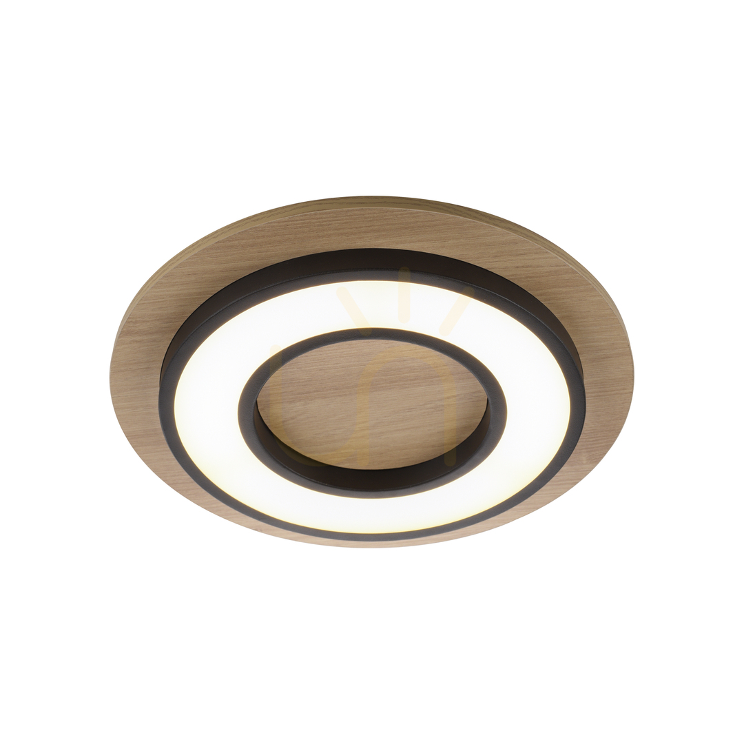 Vorschau TOLA plafond 14560-18 Schwarz 1xLED TOLA plafond 14560-18 Schwarz 1xLED